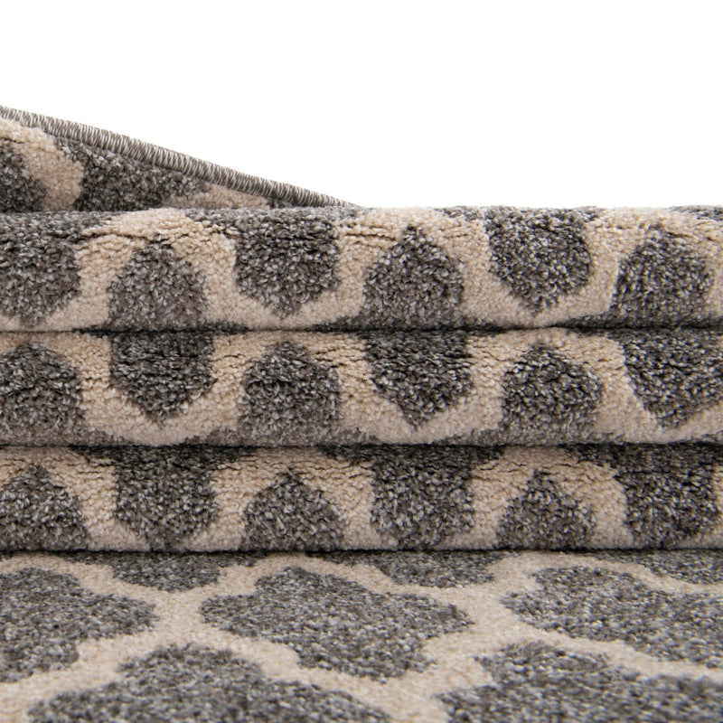 Lattice Gardens Collection Area Rug - Bloomfield (Dark Gray) Rectangular Dark Gray lifestyle 82