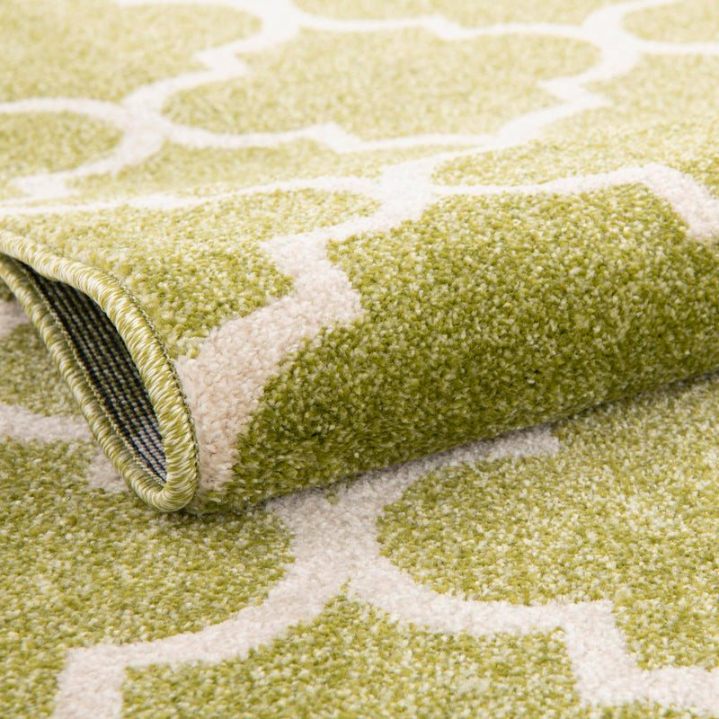 Lattice Gardens Collection Area Rug - Bloomfield (Light Green) Rectangular Light Green lifestyle 56