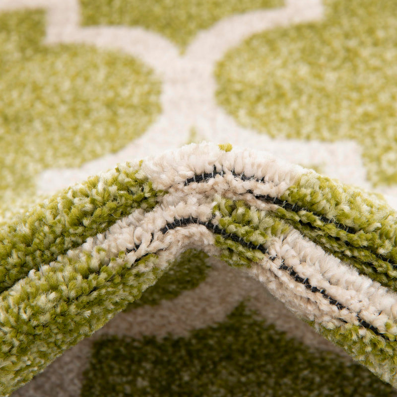 Lattice Gardens Collection Area Rug - Bloomfield (Light Green) Rectangular Light Green lifestyle 61