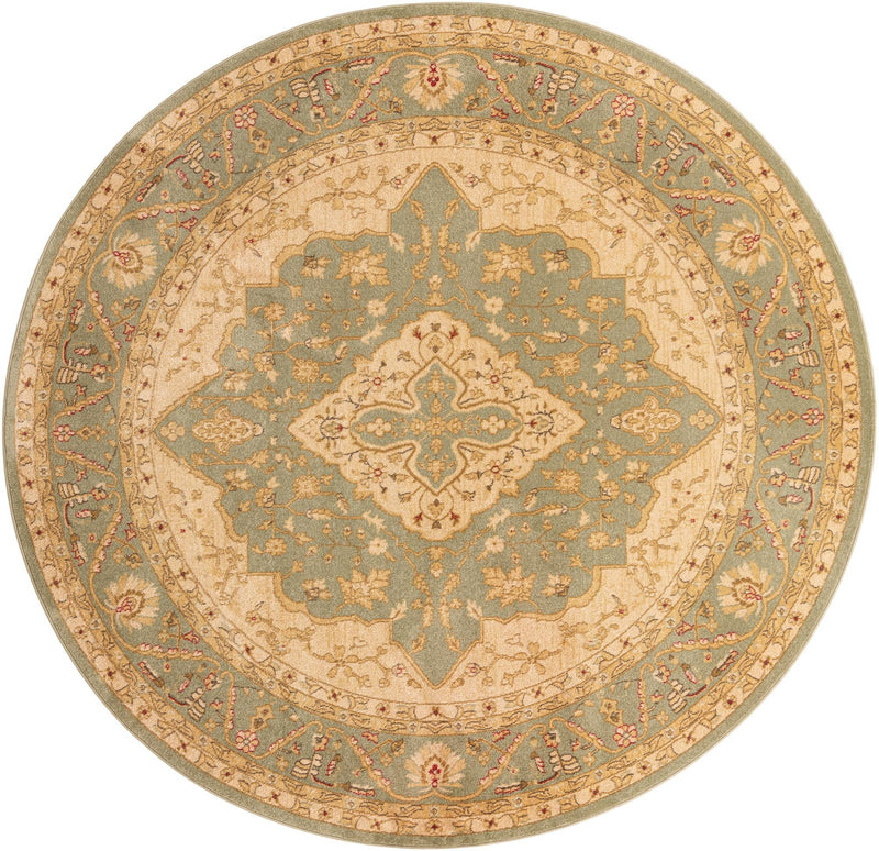 Chelsea Elegance Collection Area Rug - Twickenham Round Light Green lifestyle 35