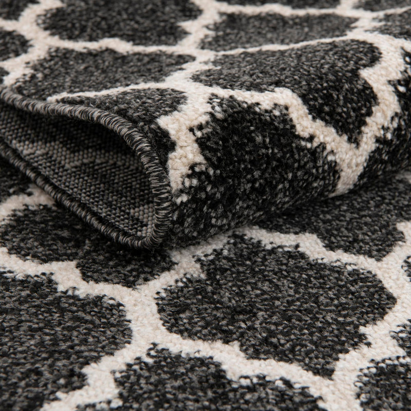 Lattice Gardens Collection Area Rug - Bloomfield (Black) Square Black lifestyle 35