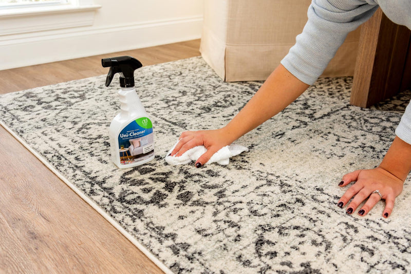 Sanctuary Collection Area Rug - Retreat Rectangle Cleaner lifestyle 6