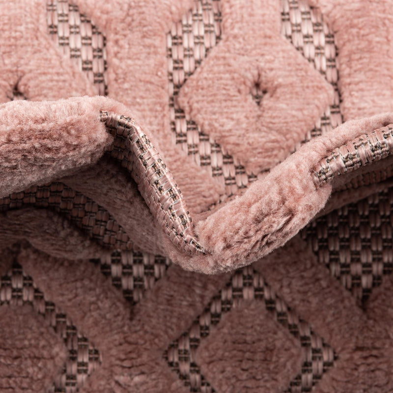 Garden Lattice Charm Collection Area Rug - Pergola (Pink) Rectangle Pink lifestyle 15