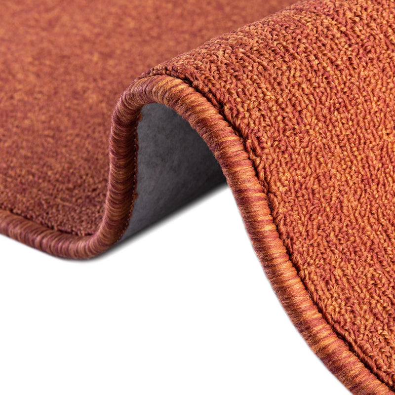 Everyday Elegance Collection Area Rug - Serenity (Terracotta) Rectangle Terracotta lifestyle 9