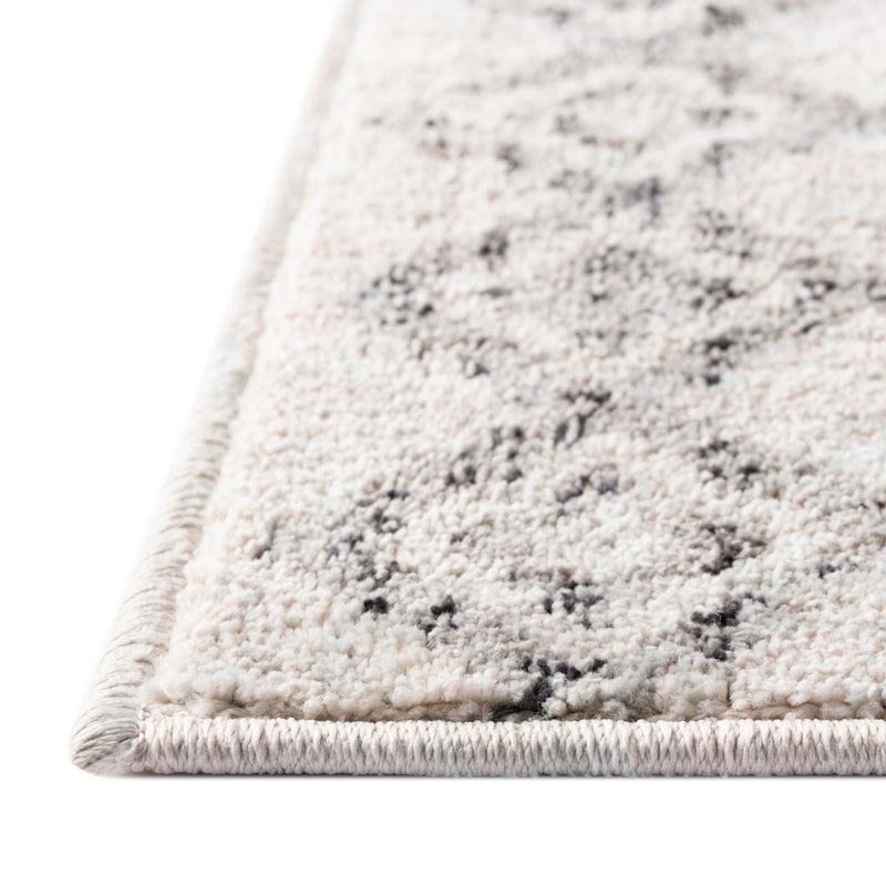 Geo Garden Lattice Collection Area Rug - Andalusia Rectangle Ivory lifestyle 64