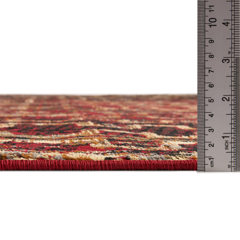 Neptune Elegance Collection Area Rug - Proteus Rectangle Burgundy lifestyle 8