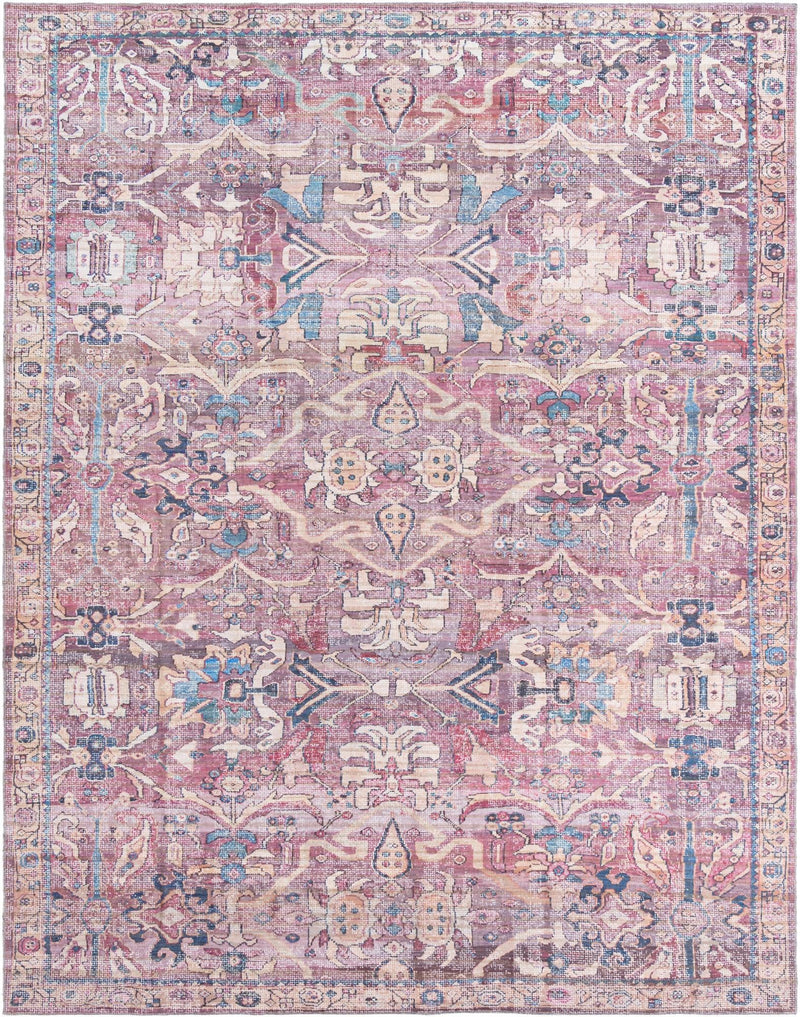 Vintage Memories Collection Area Rug - Timeless Rectangle Pink Main