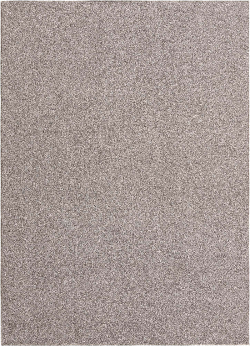 Everyday Elegance Collection Area Rug - Serenity (Ash Gray) Rectangle Ash Gray Main