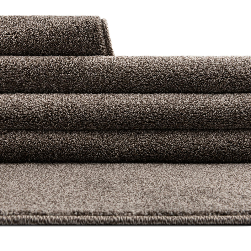 Everyday Elegance Collection Area Rug - Serenity (Ash Gray) Rectangle Ash Gray lifestyle 12