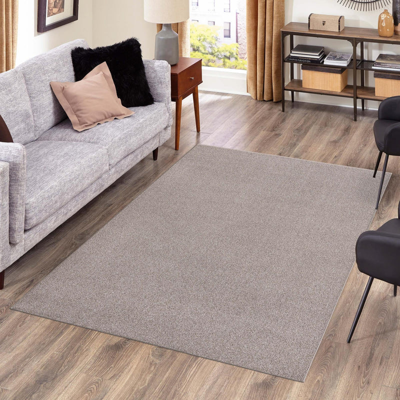 Everyday Elegance Collection Area Rug - Serenity (Ash Gray) Rectangle Ash Gray lifestyle 13