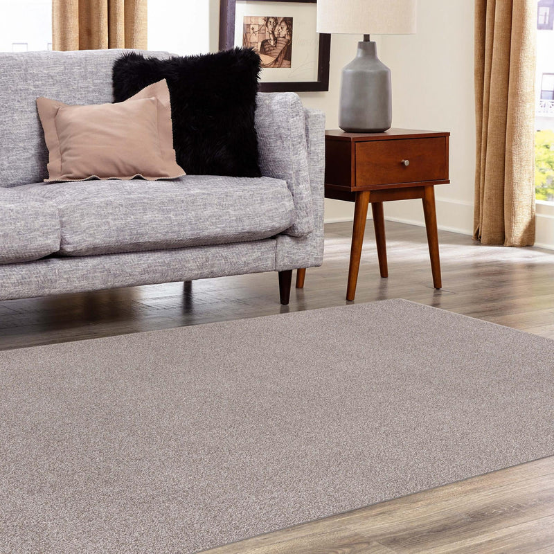 Everyday Elegance Collection Area Rug - Serenity (Ash Gray) Rectangle Ash Gray lifestyle 14