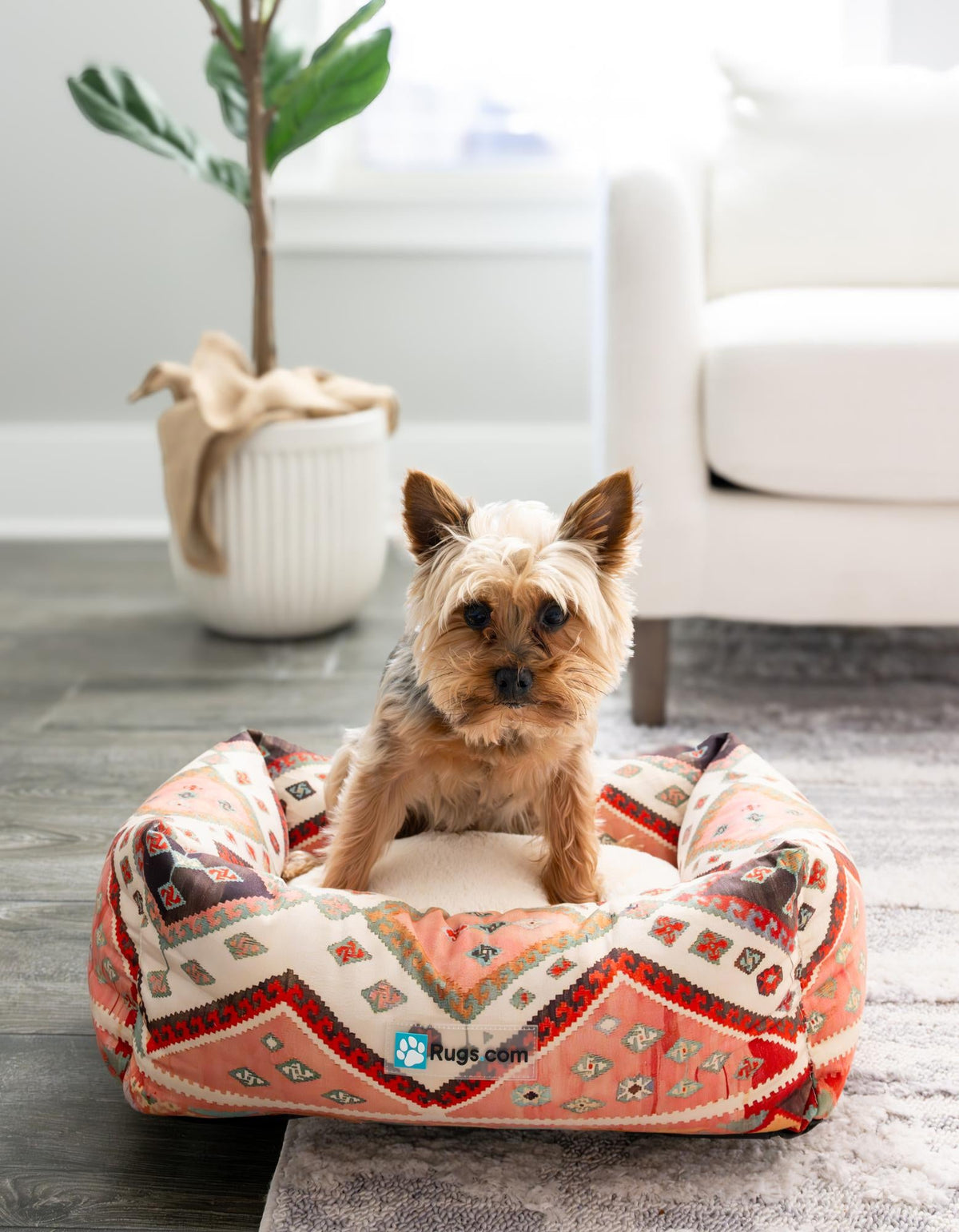 Luxury Animal Lounge Collection Area Rug - Nest Rectangle Multi Main