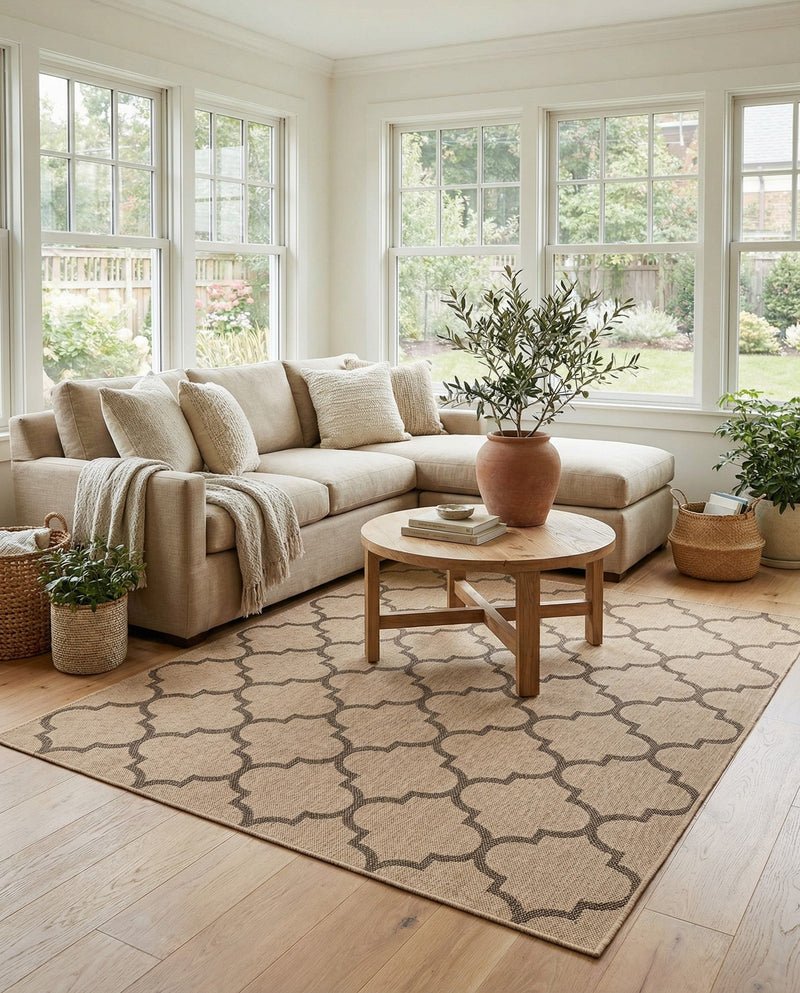 Sahara Sands Collection Area Rug -  Dahshur Rectangle Natural  lifestyle 7