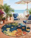 Seaside Haven Rugs Collection Area Rug -  Dunes Round Multi  lifestyle 69