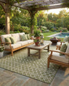 Savannah Pergola Collection Area Rug -  Pergola (Green) Rectangle Green  lifestyle 13