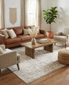 Seville Stripes Collection Area Rug -  Granada (Gray) Rectangle Gray  lifestyle 5
