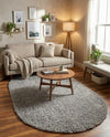 Alpine Plush Collection Area Rug -  Cortina (Sterling) Oval Sterling  lifestyle 43