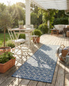 Savannah Pergola Collection Area Rug -  Pergola (Blue) Runner Blue  lifestyle 73