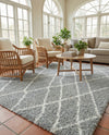 Cozy Haven Shag Collection Area Rug - Serenity (Cloud Gray) Rectangle Cloud Gray  lifestyle 19