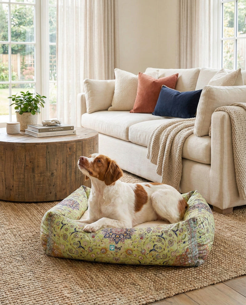 Luxury Pet Lounge Collection Pet Bed -  Pasture. Rectangle Multi  lifestyle 3
