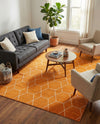 Trellis Mosaic Collection Area Rug - Arborville (Orange) Rectangle Orange  lifestyle 10