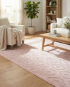 Garden Lattice Charm Collection Area Rug - Arbor (Pink) Rectangle Pink  lifestyle 5
