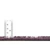 Lattice Gardens Collection Area Rug -  Bloomfield (Purple) Rectangle Purple  lifestyle 3