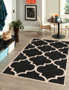 Lattice Gardens Collection Area Rug -  Espaliera Rectangle Black and White  lifestyle 10