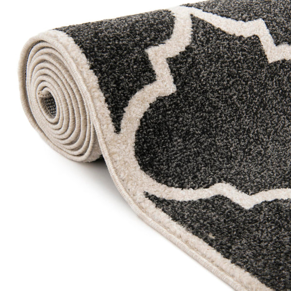 Lattice Gardens Collection Area Rug -  Espaliera Rectangle Black and White  lifestyle 66
