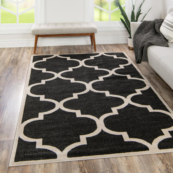 Lattice Gardens Collection Area Rug -  Espaliera Rectangle Black and White  lifestyle 99