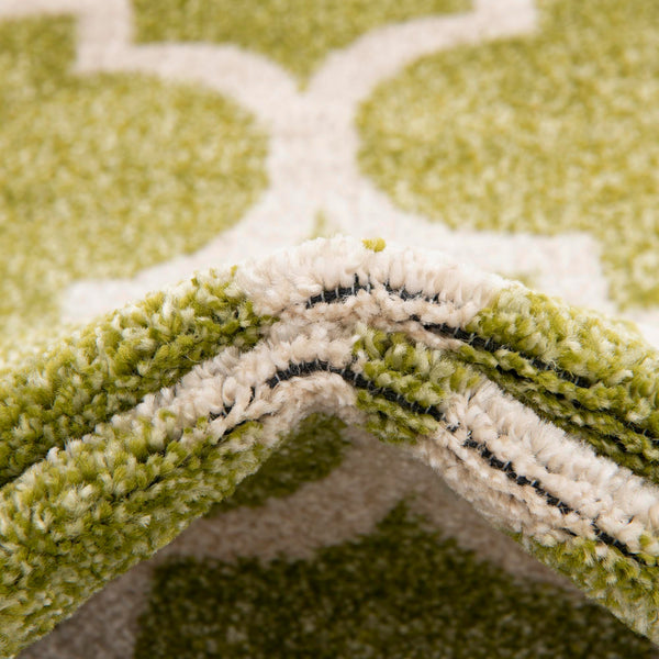 Lattice Gardens Collection Area Rug -  Bloomfield (Light Green) Rectangular Light Green  lifestyle 61