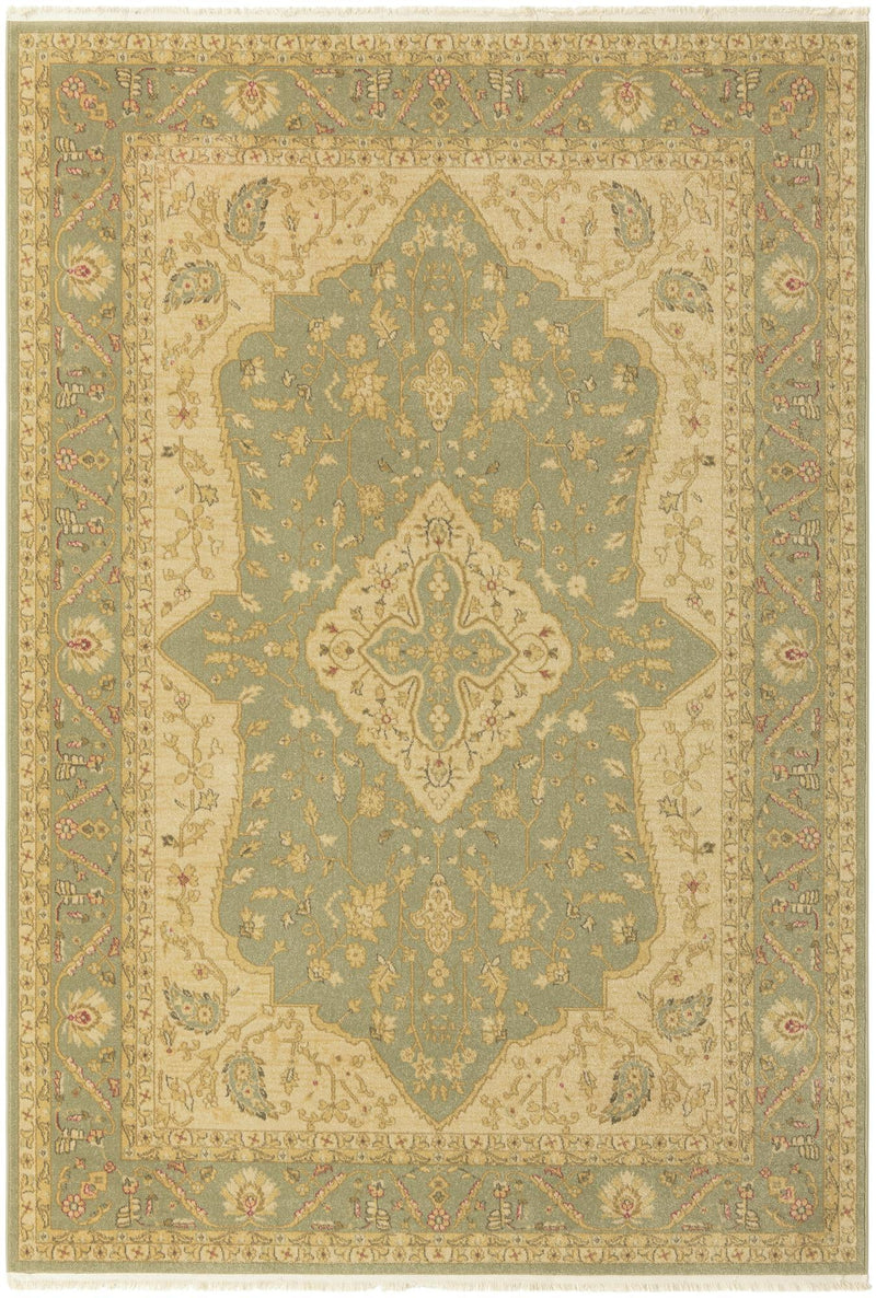 Chelsea Elegance Collection Area Rug -  Twickenham Rectangle Light Green  lifestyle 7