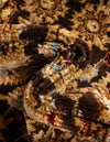Jaipur Elegance Collection Area Rug -  Jal Rectangle Brown  lifestyle 14