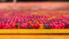 Marrakesh Elegance Collection Area Rug -  Tiznit Rectangle Red  lifestyle 5