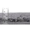 Botanical Bliss Shag Collection Area Rug - Blossomdale Rectangle Dark Gray  lifestyle 48