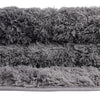 Botanical Bliss Shag Collection Area Rug - Blossomdale Rectangle Dark Gray  lifestyle 132