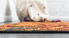 Ankara Elegance Collection Area Rug -  Pamukkale Runner Orange  lifestyle 37