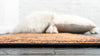 Ankara Elegance Collection Area Rug -  Konya (Terracotta) Runner Terracotta  lifestyle 6