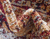 Charleston Elegance Collection Area Rug -  Summerville Rectangular Rust Red  lifestyle 10