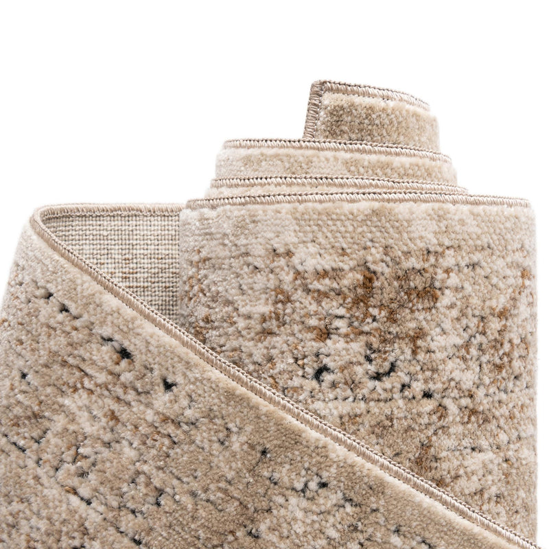 Coastal Manor Collection Area Rug -  Marina Rectangle Beige  lifestyle 33