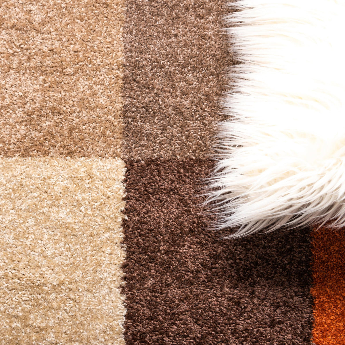 Autumn Meadow Collection Area Rug -  Briarwood Rectangle Multi  lifestyle 6
