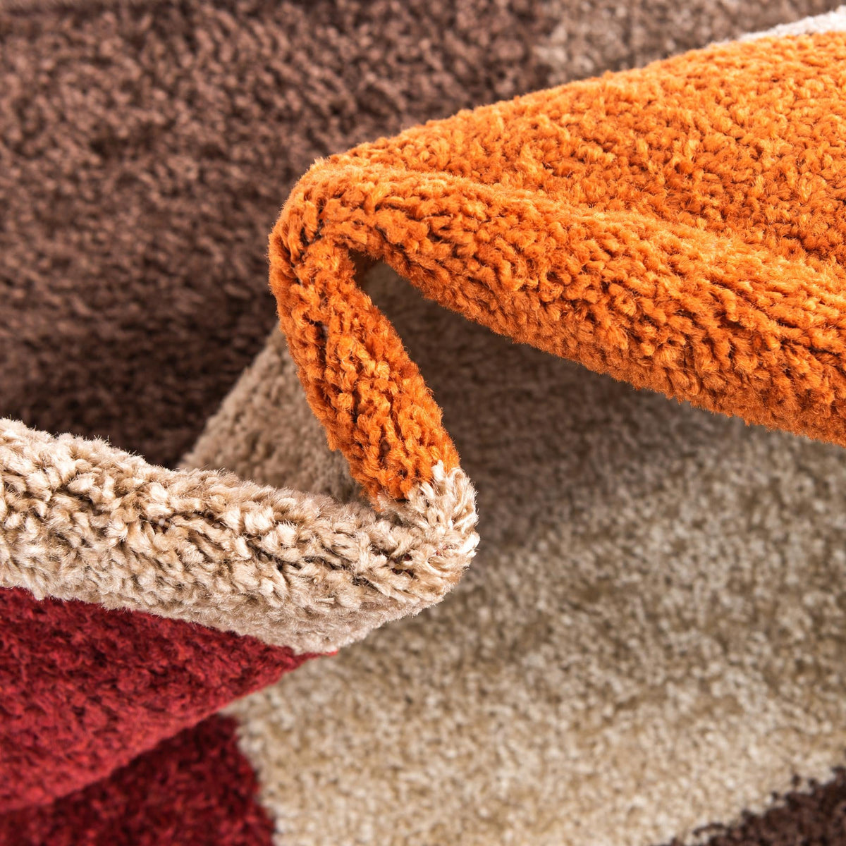 Autumn Meadow Collection Area Rug -  Briarwood Rectangle Multi  lifestyle 8