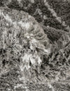 Casablanca Comfort Collection Area Rug - Sahara Runner Gray  lifestyle 89