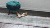 Caribbean Breeze Collection Area Rug -  Juniper Runner Blue  lifestyle 15