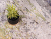 Chromatic Oasis Collection Area Rug -  Prism Runner Gray  lifestyle 39