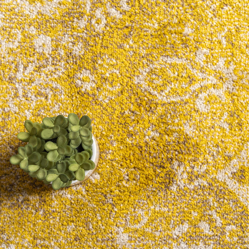 Brighton Terrace Collection Area Rug -  Rottingdean (Yellow) Rectangle Yellow  lifestyle 12