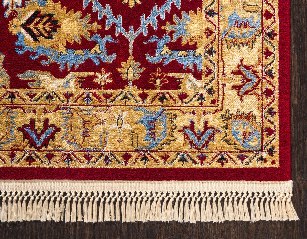 Savannah Elegance Collection Area Rug - Charleston Rectangle Red  lifestyle 21