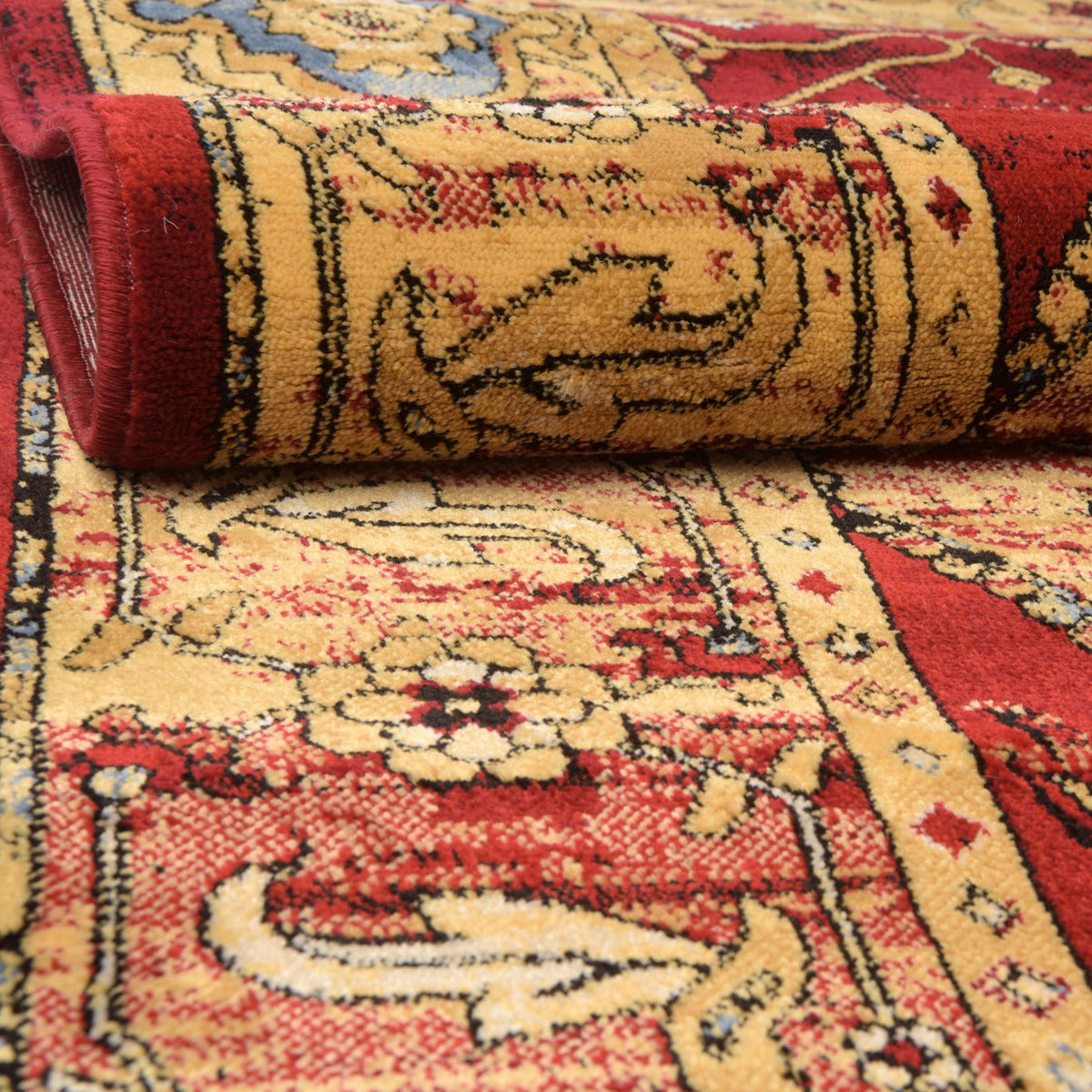 Savannah Elegance Collection Area Rug -  Augusta Rectangle Red  lifestyle 11