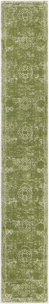Dover Terrace Collection Area Rug -  Lagoon (Green) Runner Green Main