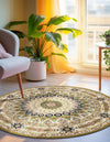 Persian Elegance Collection Area Rug -  Hamedan (Green) Round Green  lifestyle 22